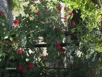HPIM0657.webp