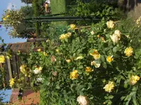 HPIM0658.webp