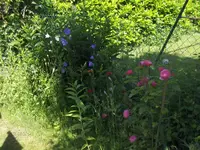 HPIM0661.webp