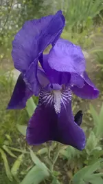 WP_20140513_004.webp
