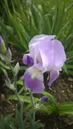 WP_20140524_002.webp