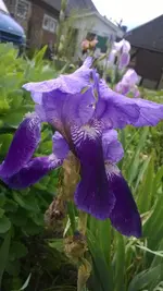 WP_20140524_003.webp