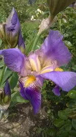 WP_20140524_004.webp
