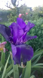 WP_20140531_002.webp