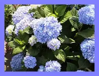 041.webp
