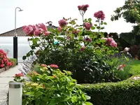 DSC01776.webp
