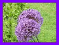 083.webp