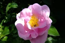 DSCF1727.webp
