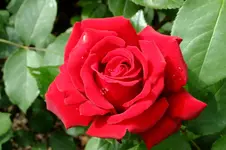 DSCF1749.webp