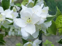 CIMG7872.webp