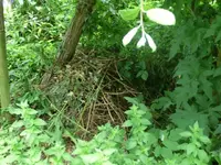 CIMG7874.webp