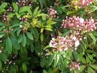 SAM_4327.webp