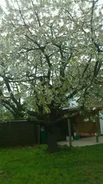 Foto7.webp