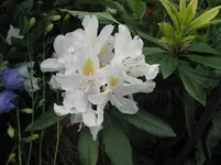 IMG_4960.webp