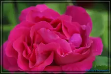 comp_DSC01556.webp