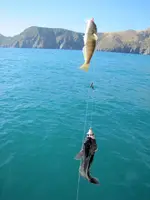 Fishing day 2014 (15)=.webp