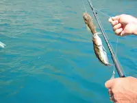 Fishing day 2014 (18)=.webp