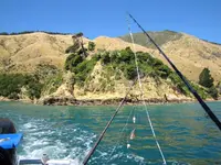 Fishing day 2014 (54).webp