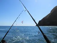 Fishing day 2014 (10).webp