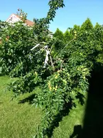 20140606_084517.webp
