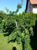 20140606_084523.webp