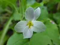 P1100419.webp