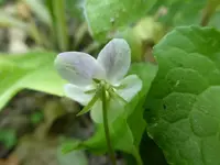 P1100418.webp