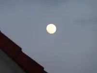 P1030826.webp