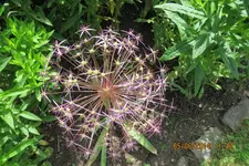 IMG_0109.webp