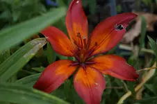_DSC5932.webp