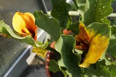 _DSC5907.webp
