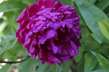 _DSC5914.webp
