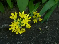 P1130625.webp
