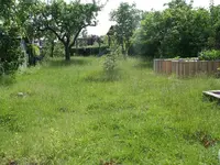 IMGP6642.webp
