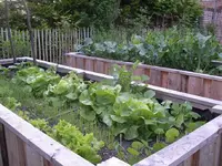 IMGP6643.webp