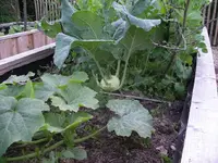 IMGP6646.webp