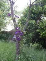 IMGP6644.webp