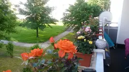 20140607_065829.webp