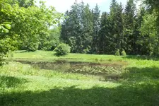 2014_0606Frühling0049.webp