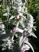 DSCN8466.webp