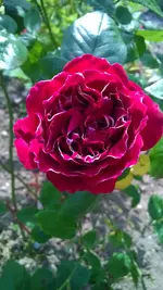 WP_20140607_002.webp
