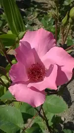 WP_20140607_003.webp