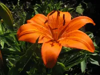 002_1024x768.webp
