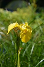 DSC_1766.webp