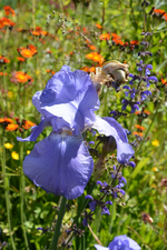 DSC_1770.webp