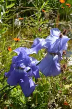 DSC_1771.webp