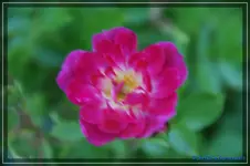 comp_DSC01565.webp