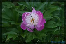 comp_DSC01566.webp