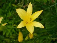 k-DSCI2593.webp