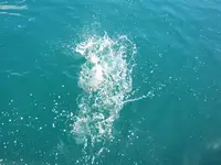 Fishing day  Hai 2014 (22)@.webp